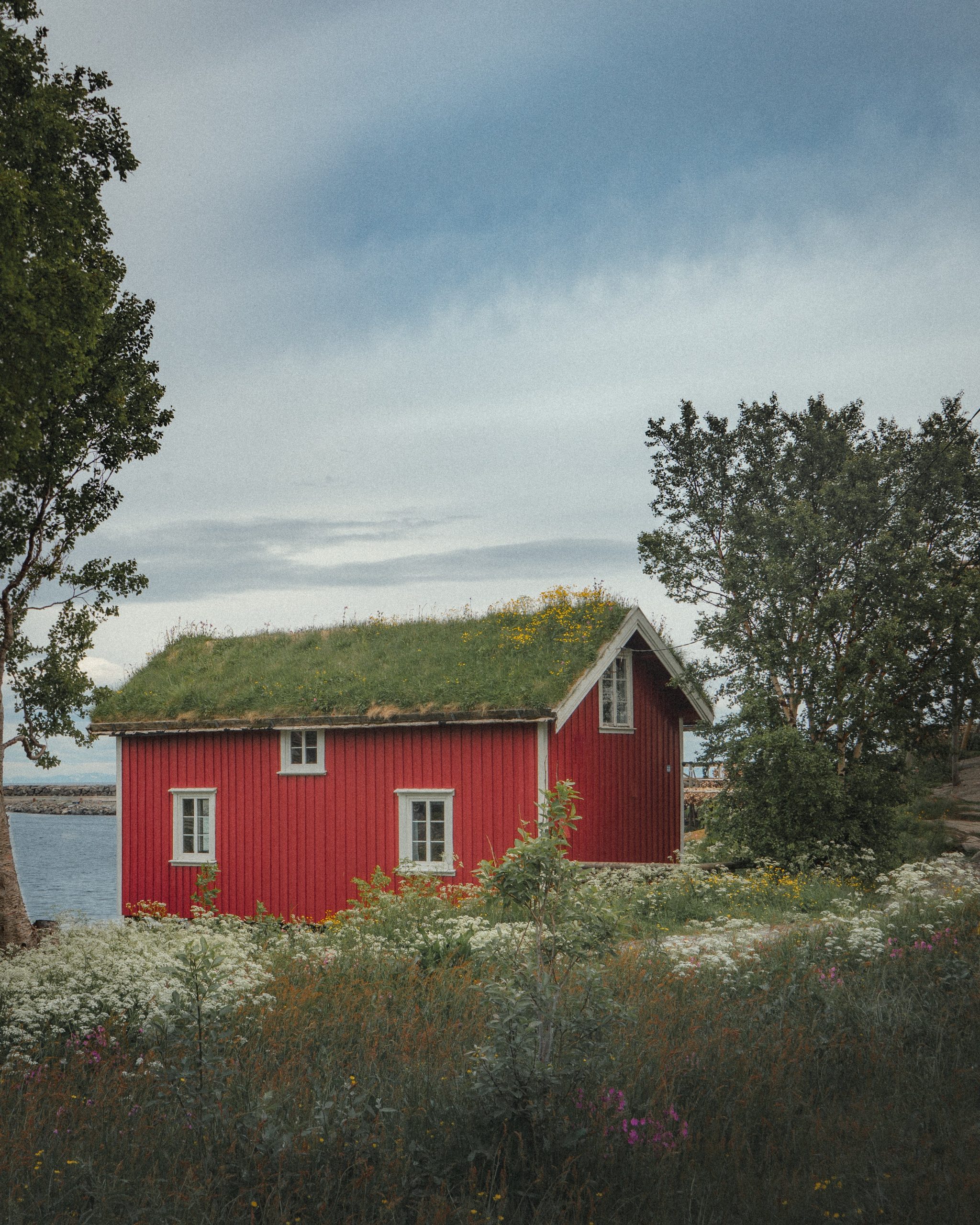 Tout savoir sur les maisons norvégiennes